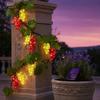 Illuminazione – Decorazioni luminose