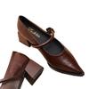 2025 autumn new pointed temperament high-heeled leather shoes women's Hong Kong style one-word French versatile retro Mary Jane single shoes