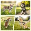 Dog Harness Set for Medium and Large Designed To Prevent Backing Out and Includes Breathable Mesh and 1680D Oxford Night Easy To Put Double and Back