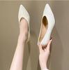 Fashion Stiletto Pointed Toe Single Shoes Women's 2025 Spring New Work Shoes