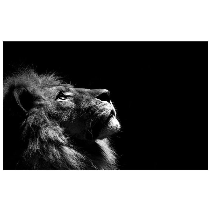

Африканские постеры с изображением льва и принтом, черно-белые настенные художественные холсты, картина маслом, картина для декора гостиной, украшения дома 50x75cm