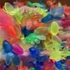 Vissen en zeedieren – Aquarium decoratie