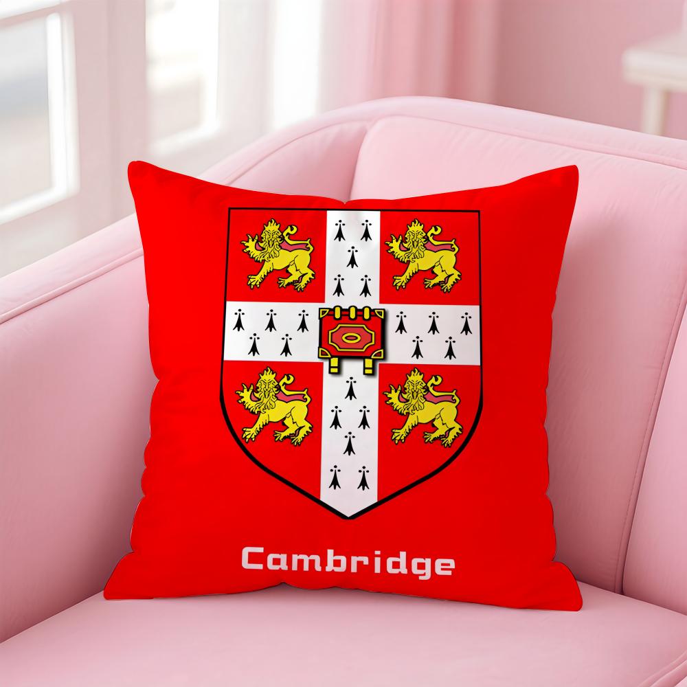 Academic Global Theme Art BBacktoschool Season Cushion Cover Pillowcase Short Plush Invisible Zipper Room Sofa Cushion Cover