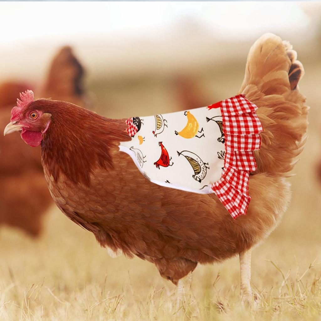 Hen Saddle Standard Hen Saddle Hen Apron Poultry  Apron Poultry Back Protector