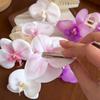 Sweet Butterfly Orchid Hair Claw Vacation Style Seaside Vacation Headwear  Daily
