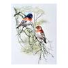 Handcrafted Embroidery Hand-dyed 100% Silk Embroidery Thread Mulberry Silk Thread Embroidery Flower Thread True Thread Silk Thread 10 Colors 220m