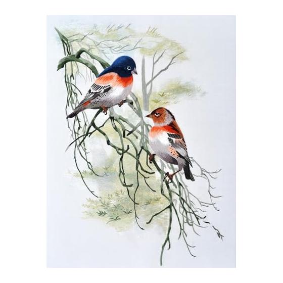 Handcrafted Embroidery Hand-dyed 100% Silk Embroidery Thread Mulberry Silk Thread Embroidery Flower Thread True Thread Silk Thread 10 Colors 220m