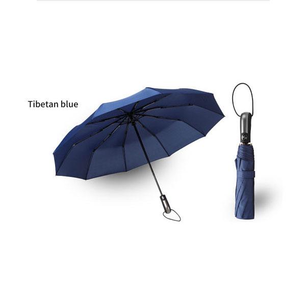 10 Ribs Automatic Travel Umbrella Auto Open Close Compact Folding Rain Windproof