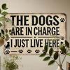 Vintage Tin Sign Funny Dog Wall Decor Metal Poster