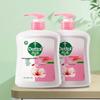 Dettol Moisturizing Hand Wash Twin Pack