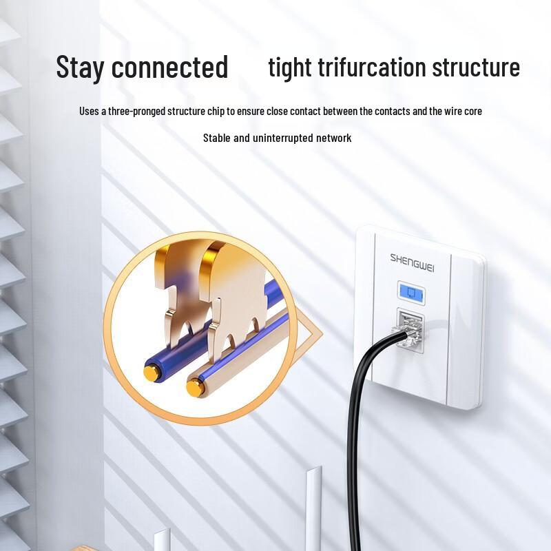 Shengwei Cat5e RJ45 Ethernet Connector