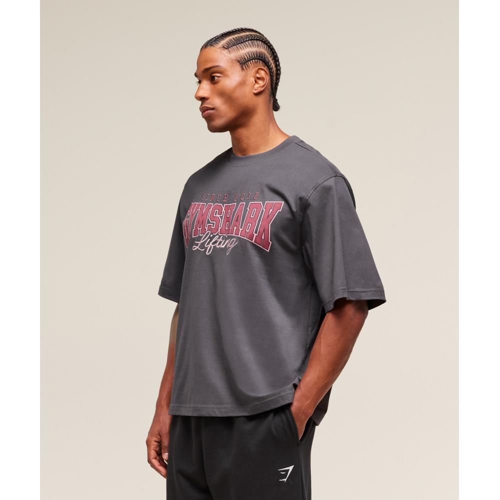 Gymshark LifTing EssenTials T shirT Onyx Grey A2b8f Gb7n