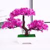 Greeting Pine The Guests Artificial Bonsai Plastic Plant Living Room And Office