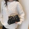 Winter new down cotton clothes bag women's Korean version fashion shoulder bag chain clip simple portable messenger women's bag