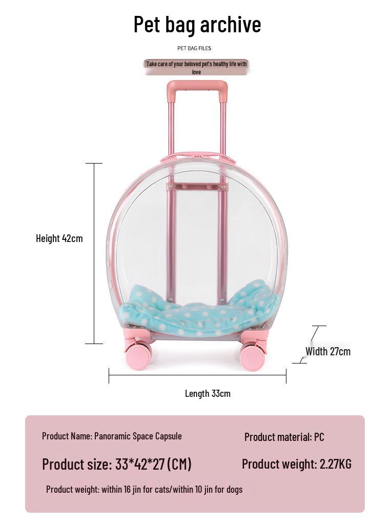Portable Transparent Pet Carrier: Multi-Purpose Large Capacity Travel Bag for Cats