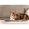 Tapis chauffant Lilli - Love Your Pet Beurer - PP 220 S