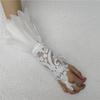 1PC Embroidery Feather Long Gloves Lace Wedding Gloves Gothic Mesh Sleeve  Party Wear