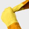 Long Sleeve Cactus Gloves Leather Garden Gloves Durable Rose Pruning Gloves
