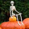 1pc Halloween Spooky Movable Joints Human Skeleton Decoration for Halloween Party Outdoor Indoor DIY Skeleton Decoration Props
