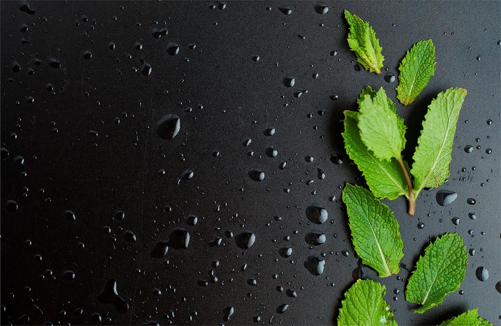 GLASS PROTECTIVE PLATE FOR STOVE 80x52 BLACK