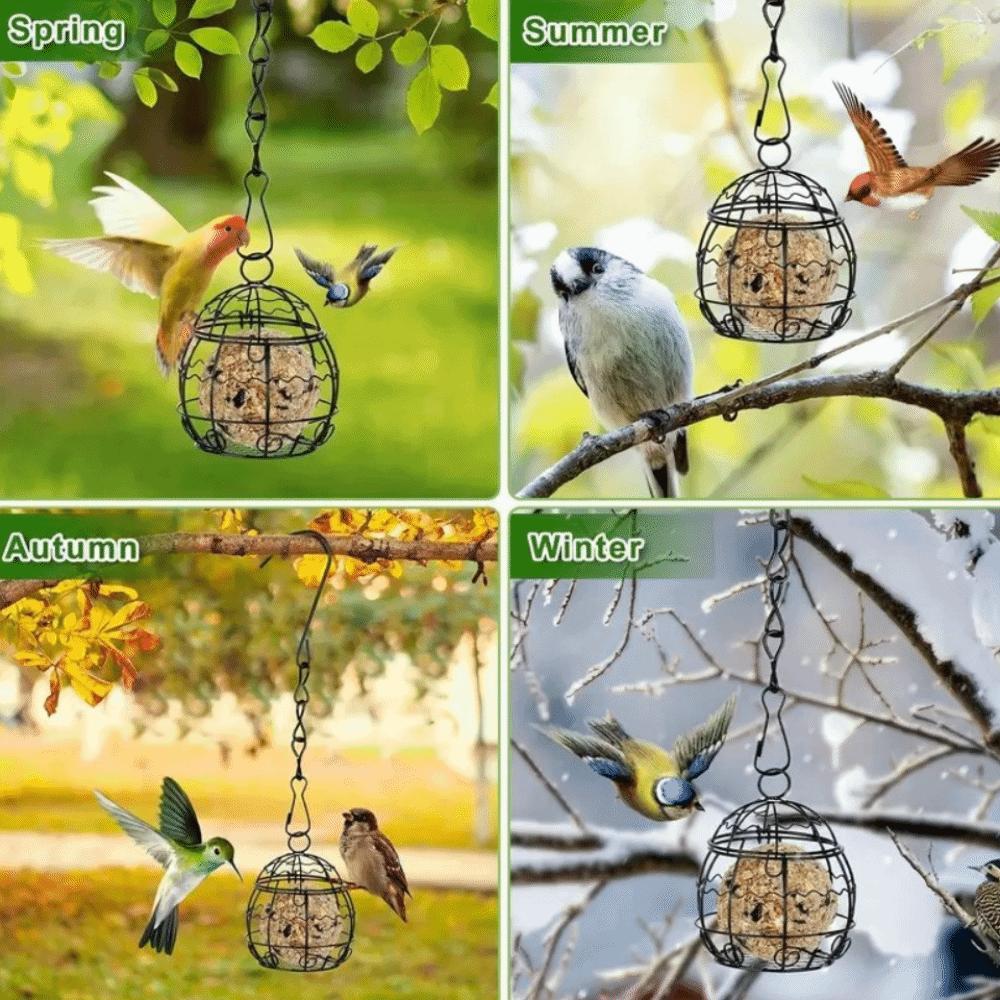 Iron Bird Feeding Wire Cage Bite Resistant Bird Feeding Basket Durable Hanging Bird Feeder Garden