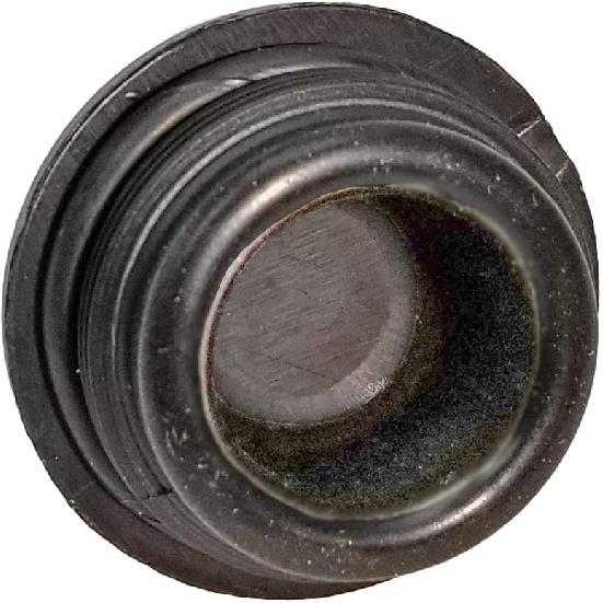 Titan Model 60 Actuator Master Cylinder Cap and Gasket #4480701