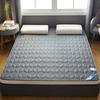 Materasso Pieghevole in Lattice e Memory Foam Tatami per Dormitori - Singolo/Matrimoniale