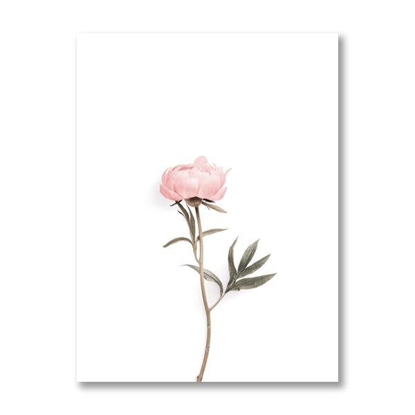 Pink Peonies Flower Posters and Prints Nordic Scandinavian Minimalist Wall Art Canvas Painting Floral Pictures for Room Decor