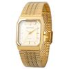 Klefer AVANTINO Stylish Analog Quartz Watch with Metal Strap, Waterproof, Gold, AV-AM406-GDG, Women's
