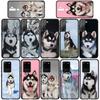 Bella Copertina per Telefono Divertente con Cane Husky per Samsung Galaxy S25 Pro S23 S22 S24 FE Ultra S10 Plus A05 A06 A15 A16 A26 A35 A36 Custodia