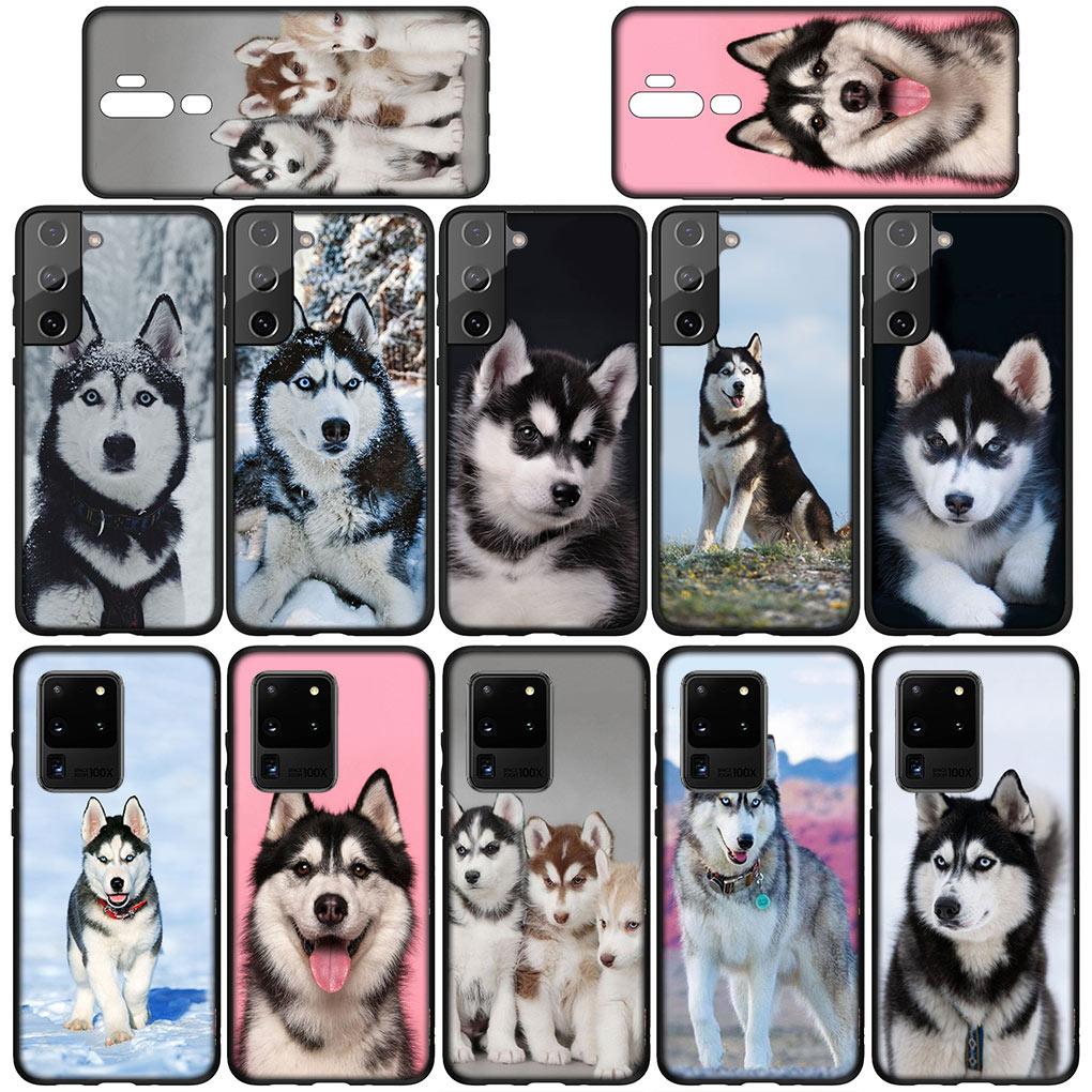 Bella Copertina per Telefono Divertente con Cane Husky per Samsung Galaxy S25 Pro S23 S22 S24 FE Ultra S10 Plus A05 A06 A15 A16 A26 A35 A36 Custodia