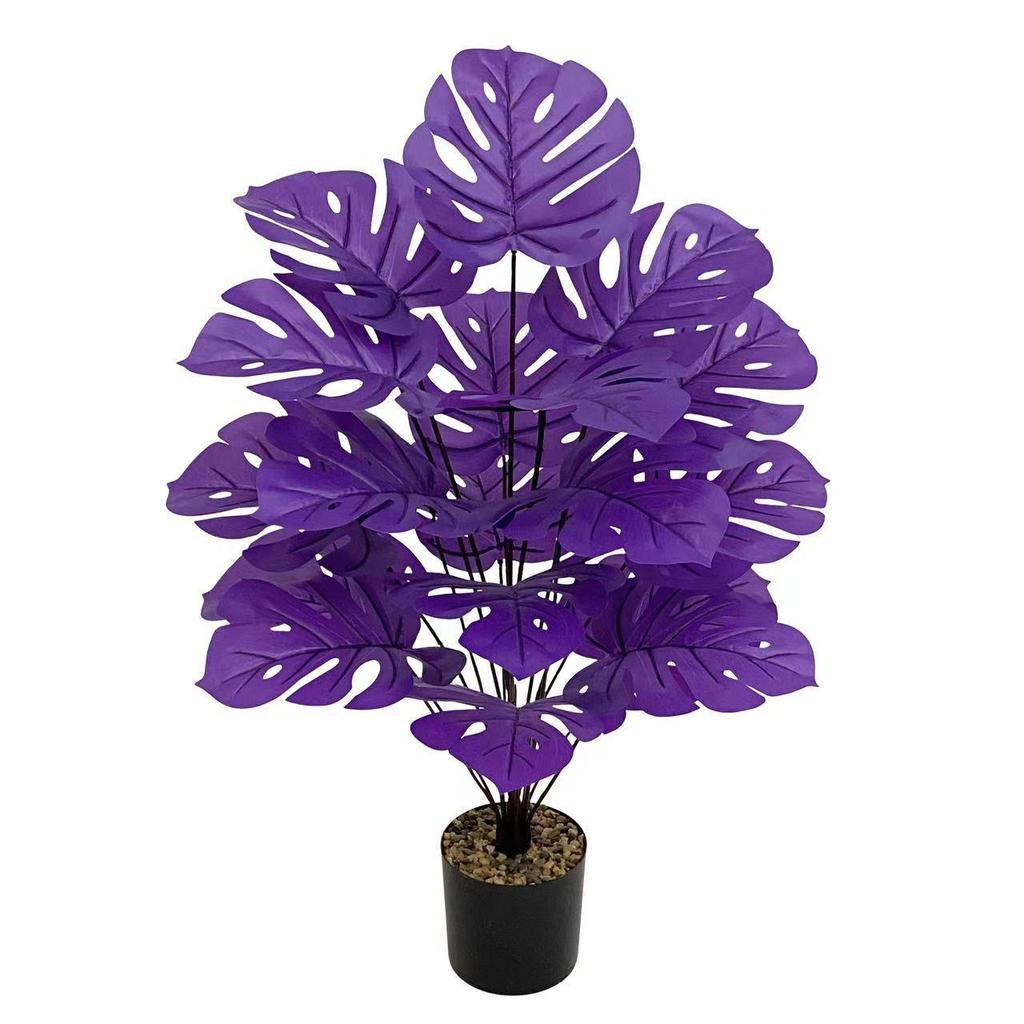 Nordic Style Variegated Monstera: Potted Plant for Home & Garden Decor