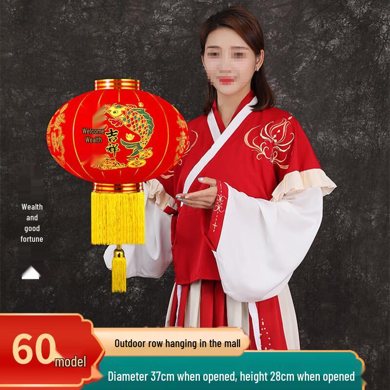 

HEIXIE Chinese New Year Flocked Red Lanterns