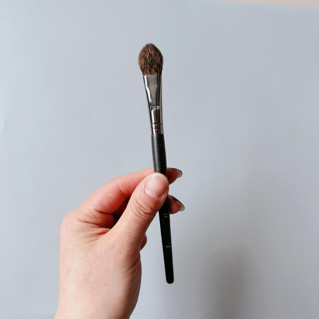 Bi Jia Complete Makeup Brush Set: 133, 224, FB18 Powder, Blush & Eyeshadow Brushes.