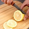 BBQ Coltello multiuso Affettare pesce Frutta Coltello da bistecca Manico in plastica Coltelli da cucina Forgiatura a mano Coltello da macellaio per disossamento Chef Mannaia Strumento