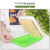 Hydroponic Sprouting Seedling Tray (2-Pack)