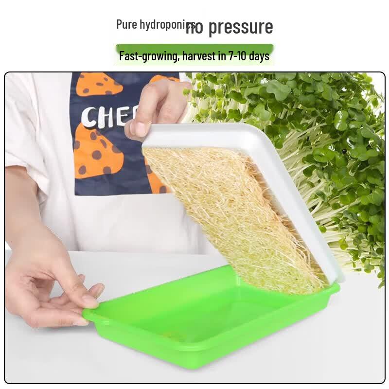 Hydroponic Sprouting Seedling Tray (2-Pack)