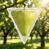Cucumber Molds Transparent Reusable Cucumber Styling Growth Mold For Pumpkin Tomatoes Garden Yard Patio Apartment Backyard