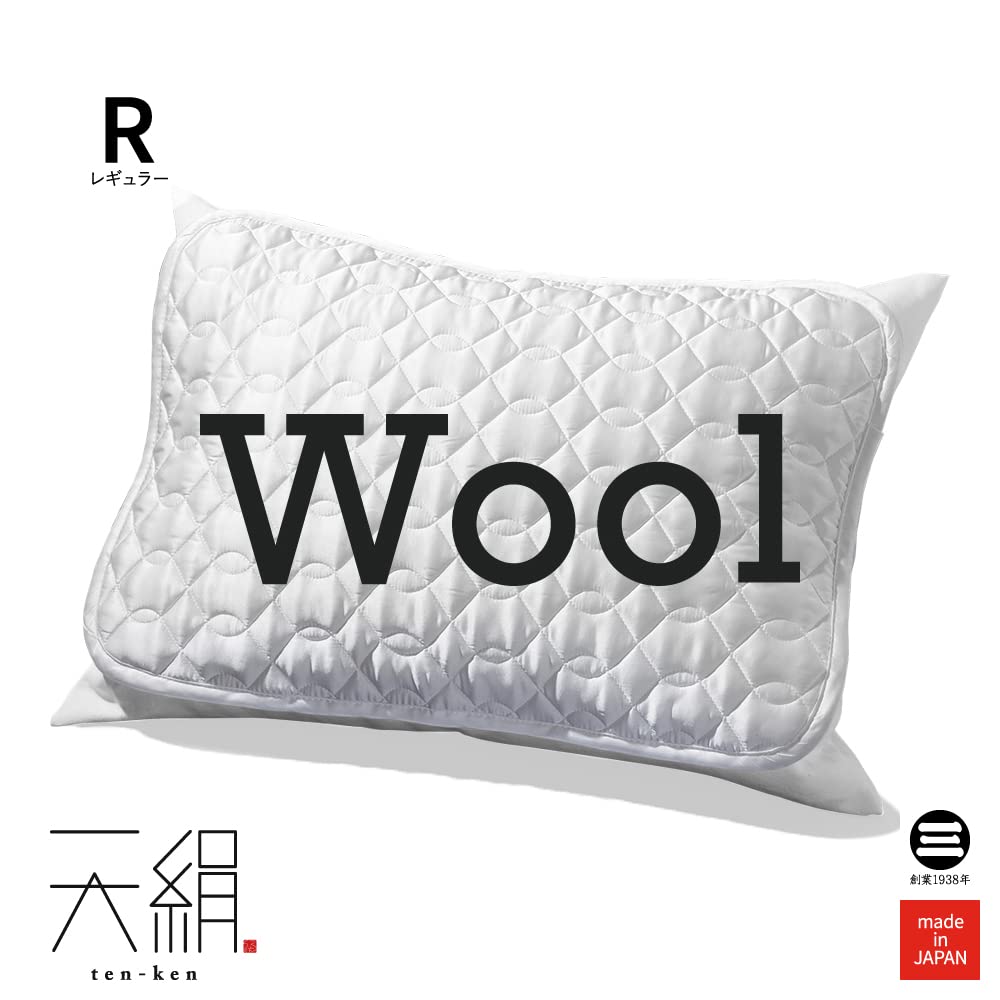 Tenken 2 Satin Washable Pillow 44 x Silk-blend Pad, 100% Wool, 65cm, White, TK-PP30202