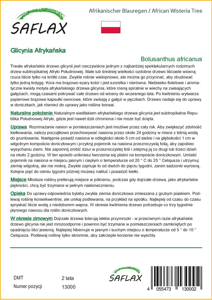 SAFLAX African Wisteria Tree - 15 Seeds - Bolusanthus Africanus