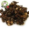 Baekjangsaeng Wild Hovenia Dulcis Fruit (Chinese) 300g 1 Pcs
