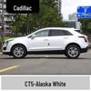 Cadillac XT5 Scratch Repair Paint Pen - Alaska White