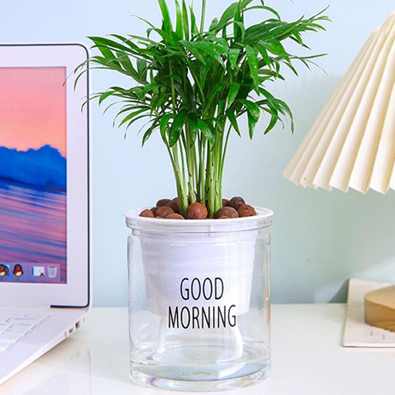 Refreshing Sensation Good Morning Flowerpot Plastic Grow Box For Home Garden Plants Nursery Cup Transplant Flower Plant Pots