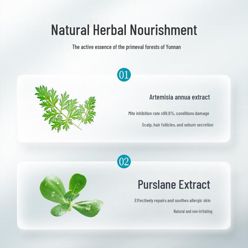 Conquer Artemisia Anti-Dandruff & Anti-Itch Shampoo