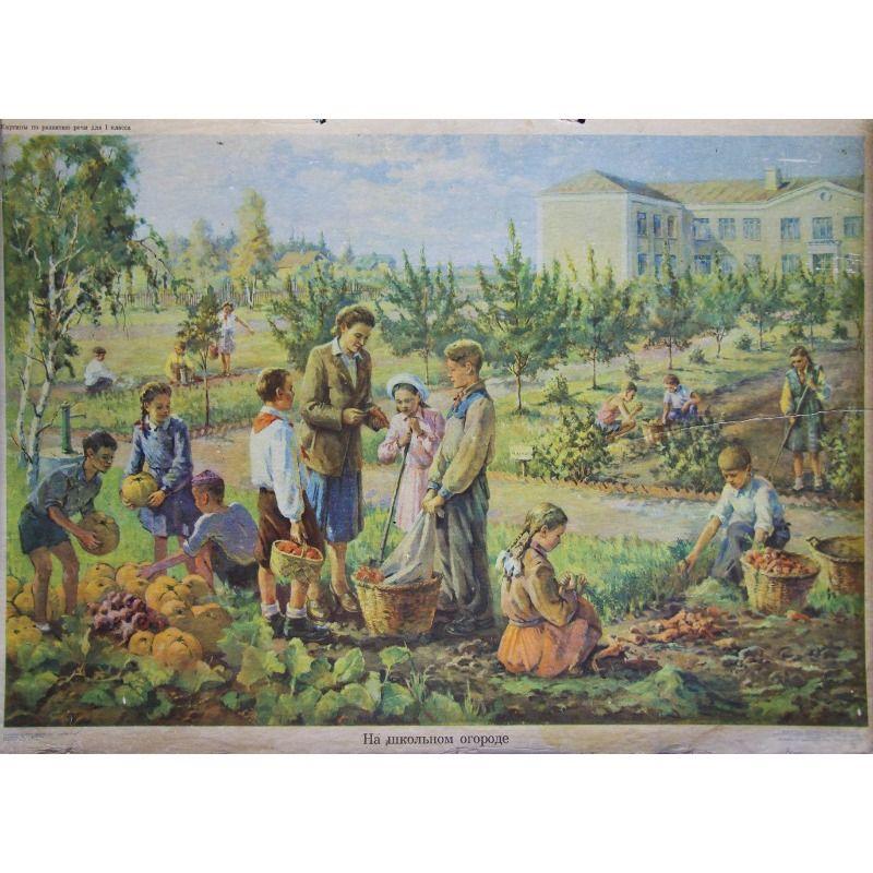Metal Wall Poster, Agricultural Art, Decorative, 20x30cm