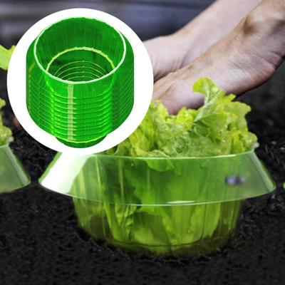 Domácí výzdoba – Dekorativní květináče