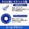 EVOLVERACING Anti-theft Bolt Set for License Plate Specific Vehicle Inspection (Blue Bolt Length 1.0 inches (25 mm)