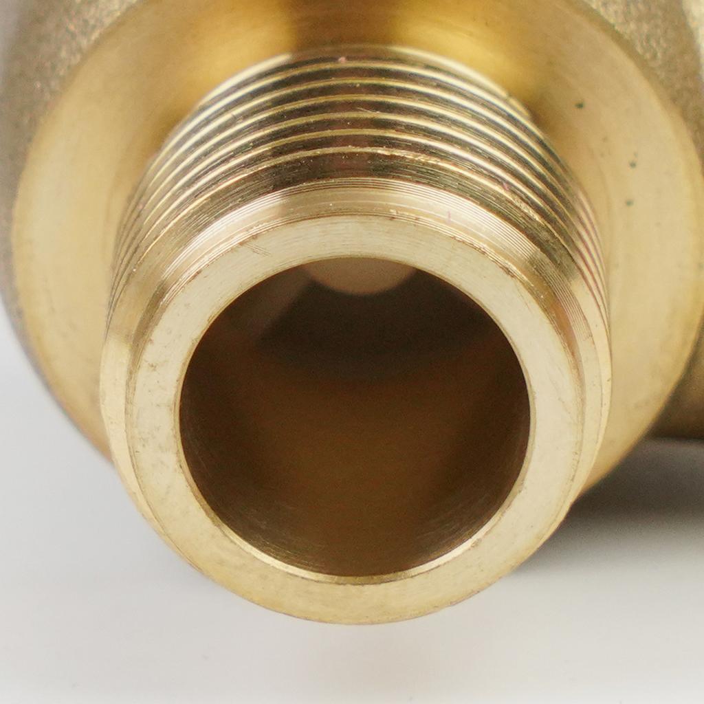 Brass Check Valve for Water System, with 1/2 NPT Male Thrd, for Motorhome, Travel Trailer, Motorhome