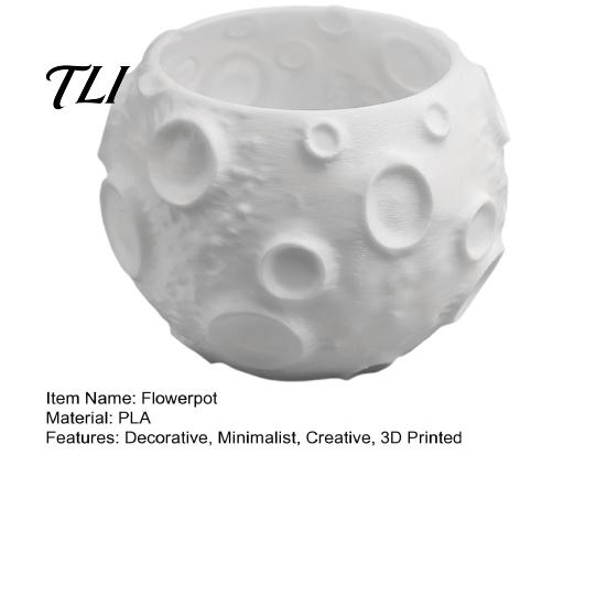Minimalist Desk Ornament 3D Printed Lunar Flowerpot for Succulents, Creative Moon Surface Planter Space Theme Decor Desktop Decor, Plant Pot