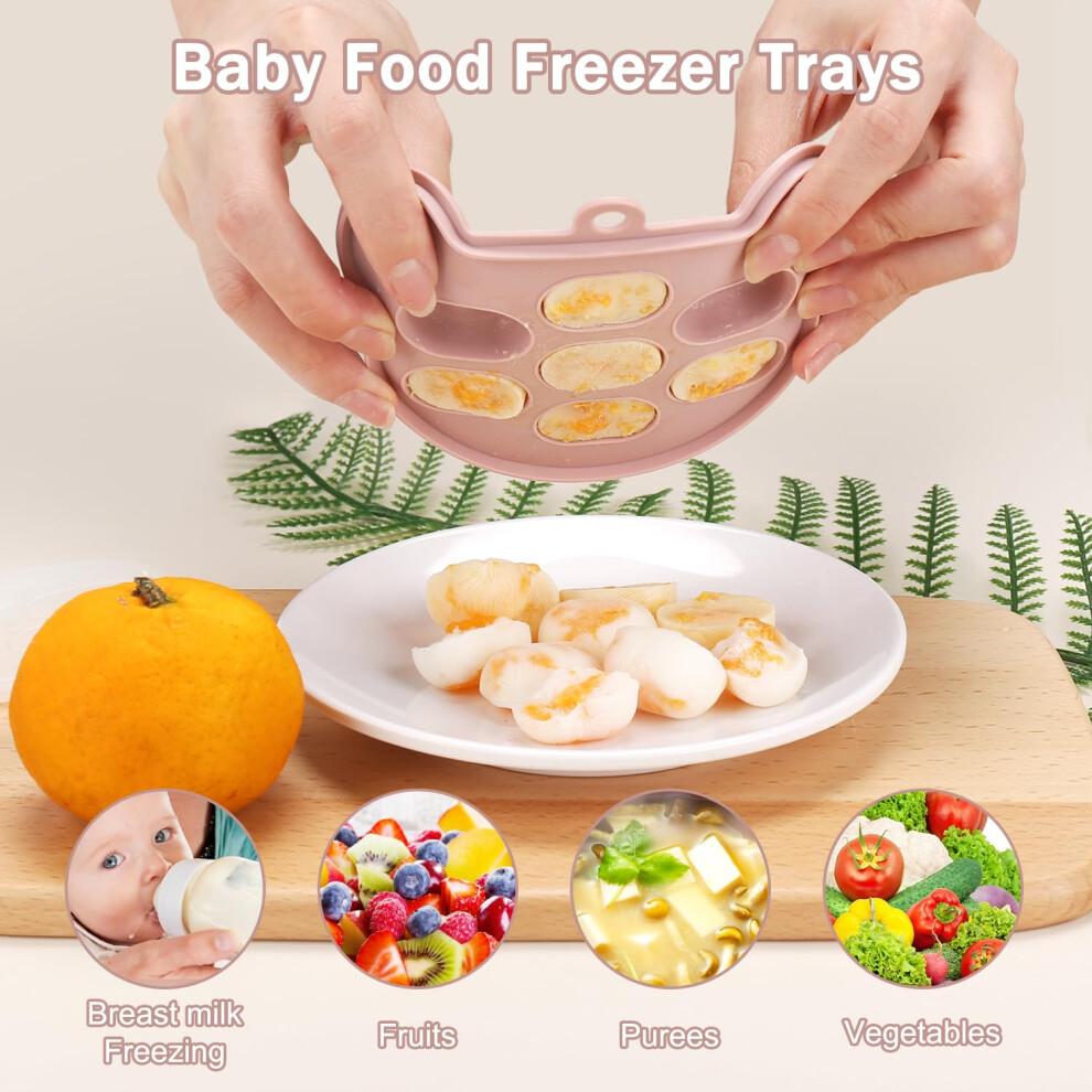 Baby Fruit Food Feeder & Mini Freezer Tray Combo, 4 Month+, Breastmilk Popsicle Freezer Molds for Baby Cooling Relief, BPA Free Silicone Feeder